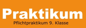 pflichtpraktikum