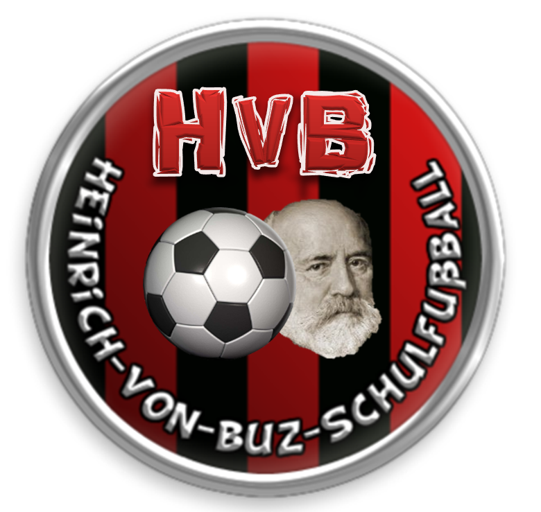 logo schulfussball