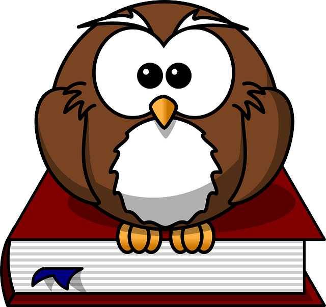 owl 47526 640